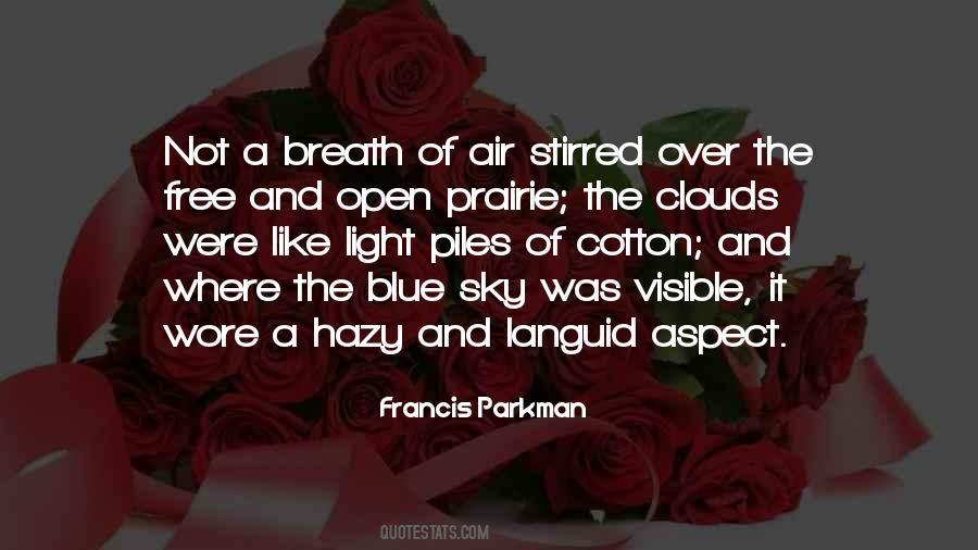 Quotes About Blue Sky #1822451