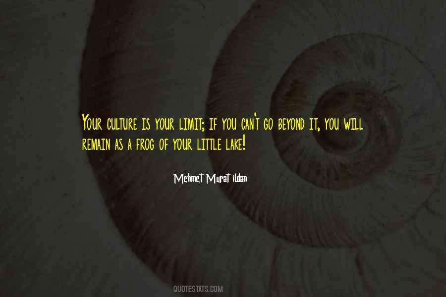 Celebrate Differences Quotes #610888