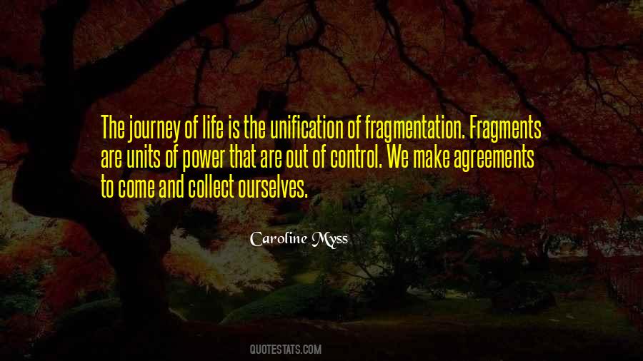 Quotes About Fragmentation #312320