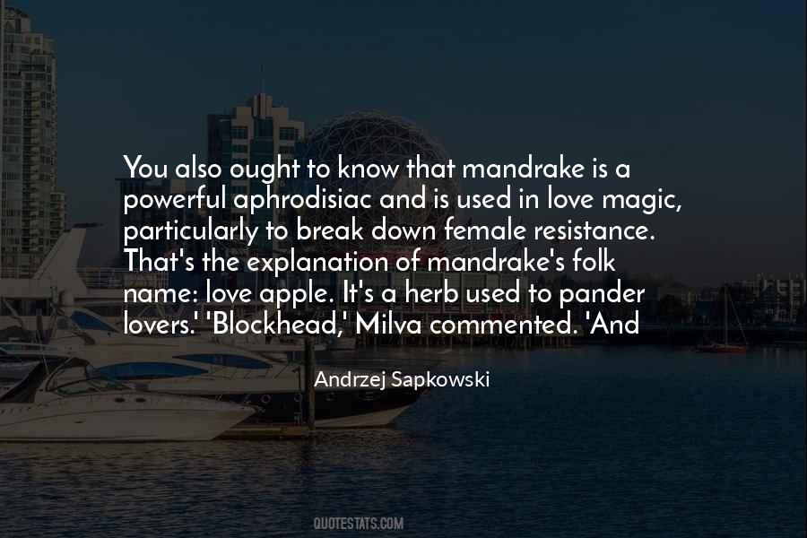 Quotes About Magic Of Love #319244