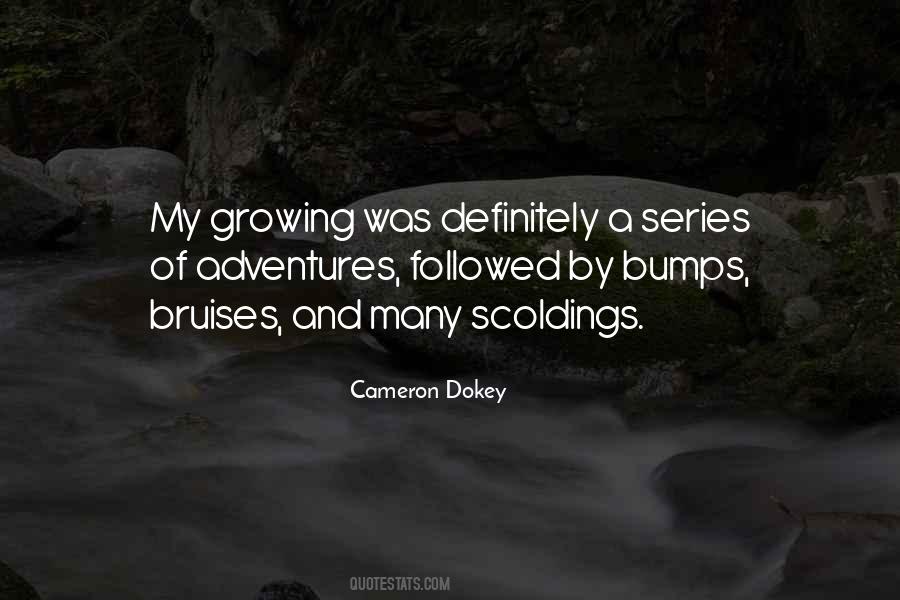 Quotes About Bumps #1027614