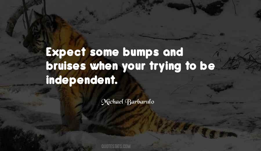 Quotes About Bumps #1874984