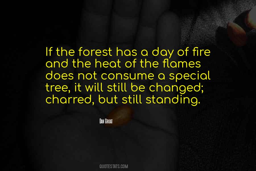 Quotes About Flames And Fire #1142443