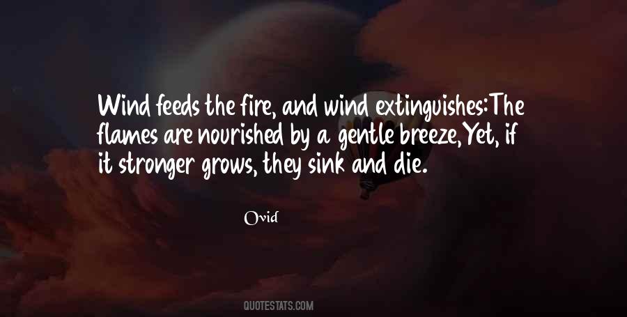 Quotes About Flames And Fire #574594