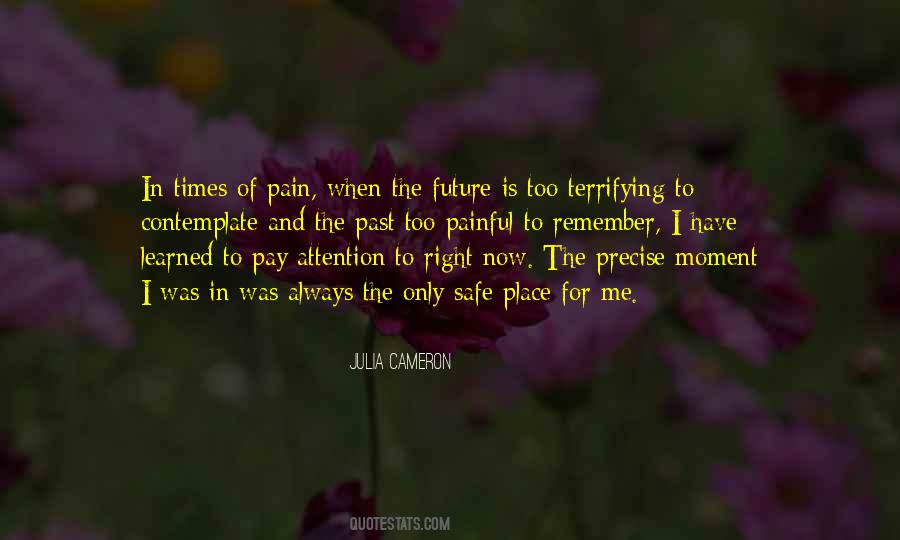 Quotes About Painful Times #1043891