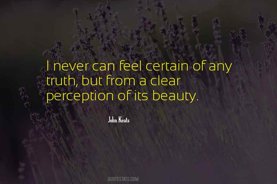 Quotes About Beauty Perception #1166575