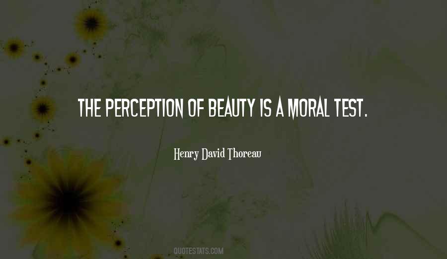 Quotes About Beauty Perception #151762