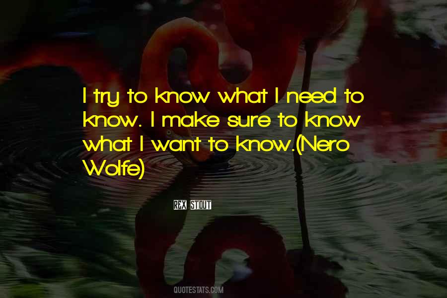 What I Want Quotes #1686488