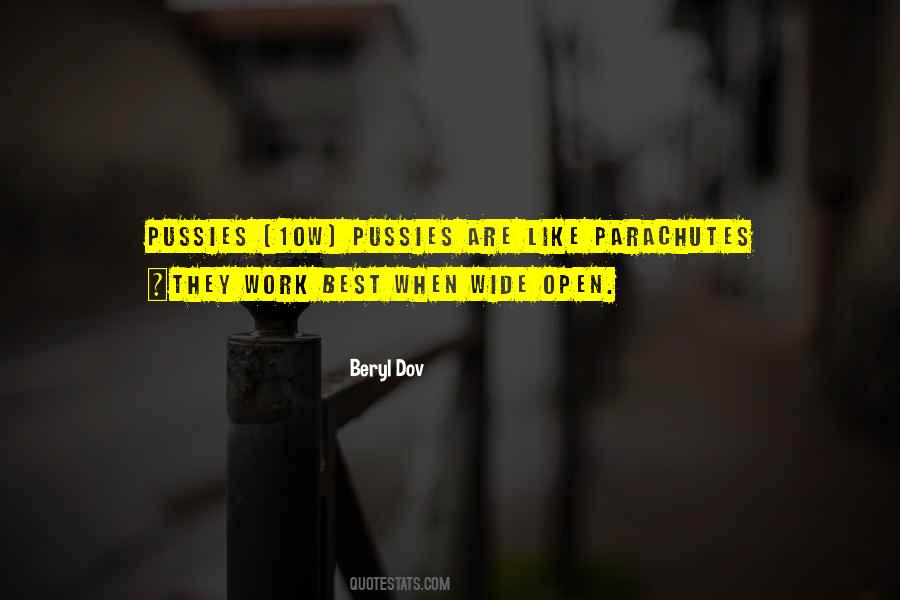 Quotes About Parachutes #687832