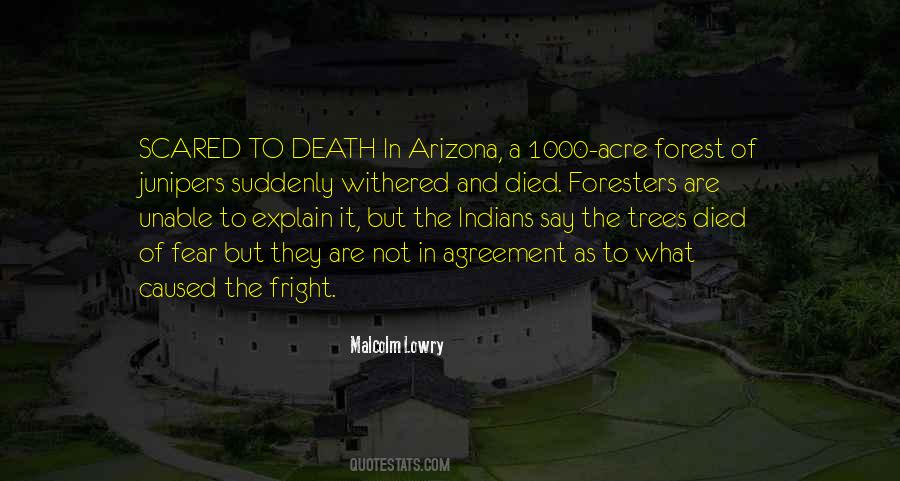 Quotes About Arizona #70664