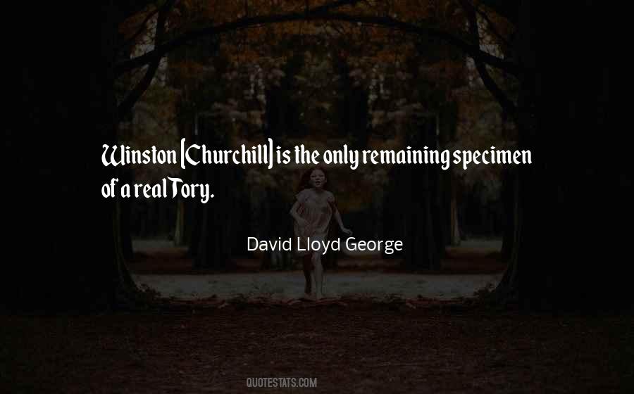 Quotes About Lloyd George #626078