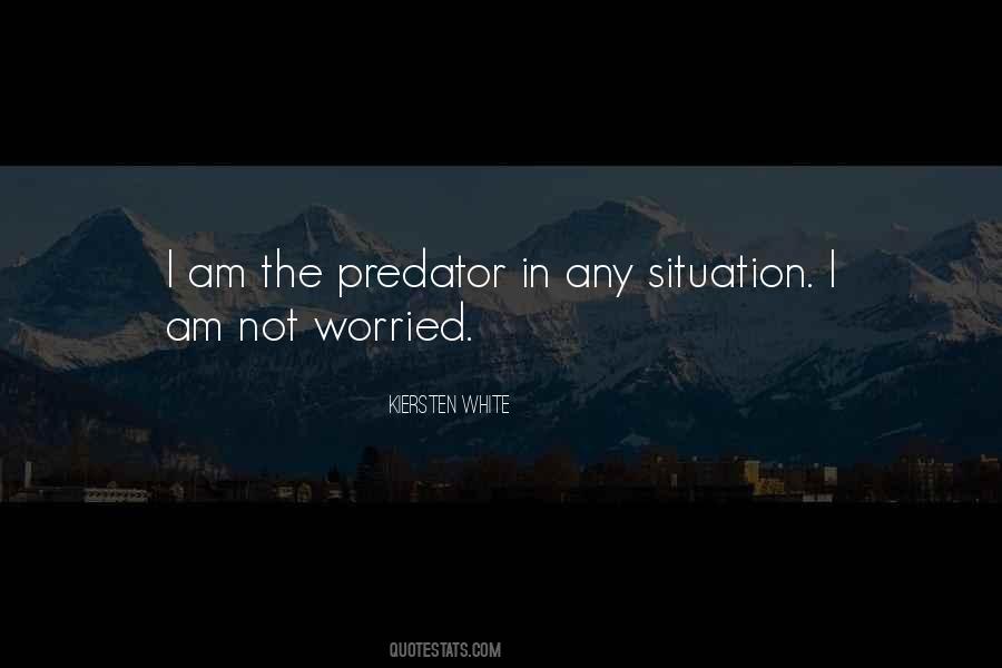 Not Worried Quotes #372024