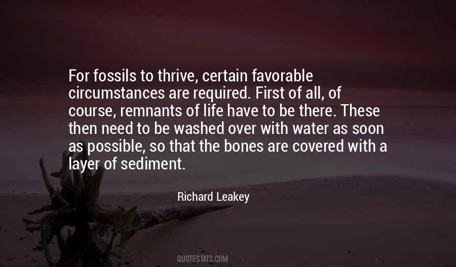 Quotes About Sediment #1127739