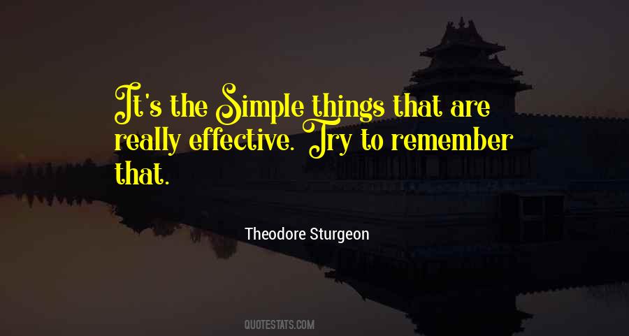Quotes About The Simple Things #957722