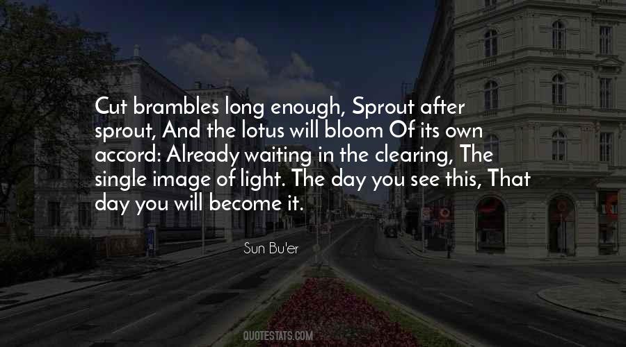 Quotes About Reflection Of Light #1573220