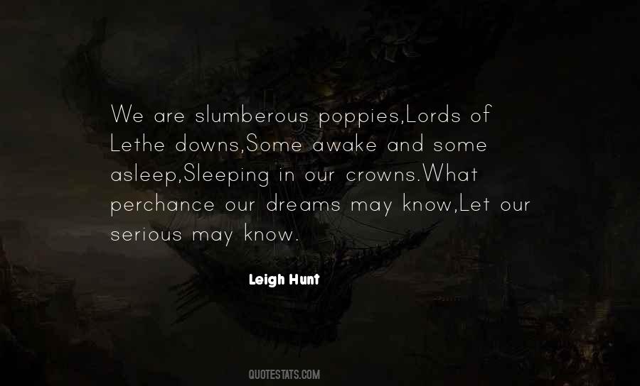 Sleep Dream Quotes #321377