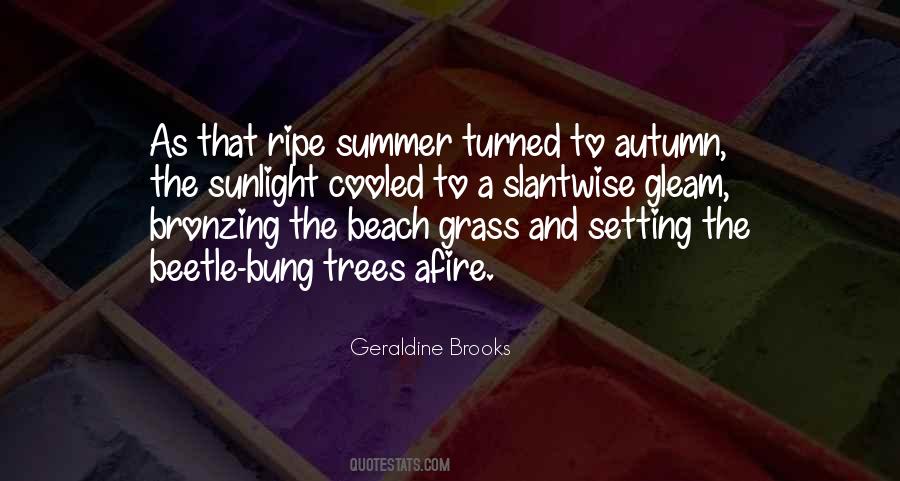 Beach Summer Quotes #774906
