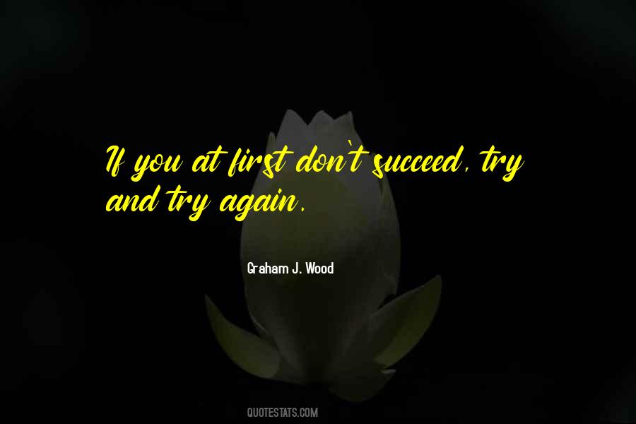 Quotes About Try Try Again #101749