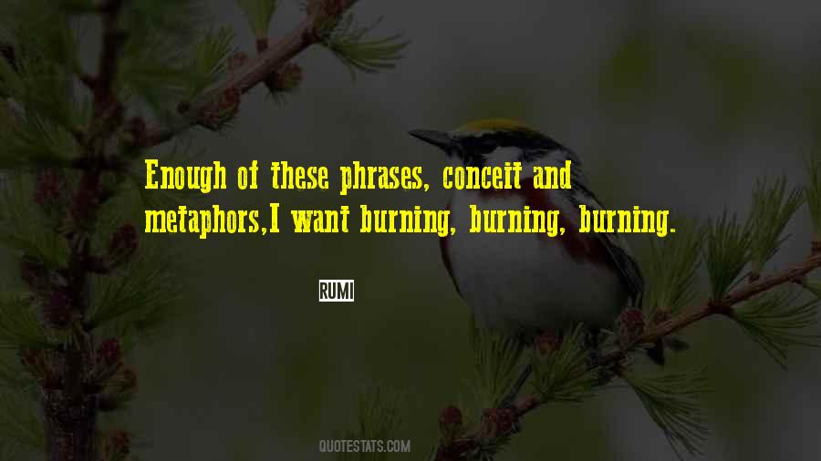 Quotes About Burning #1639232