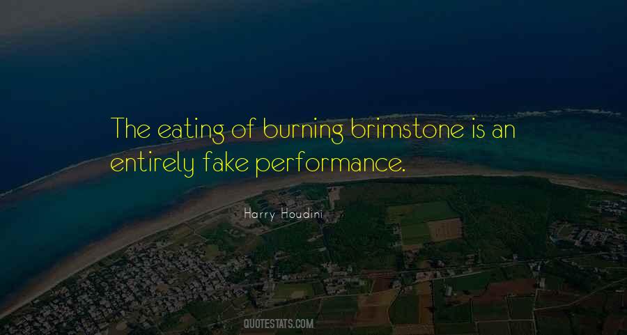 Quotes About Burning #32384 Quotes About Burning #32384