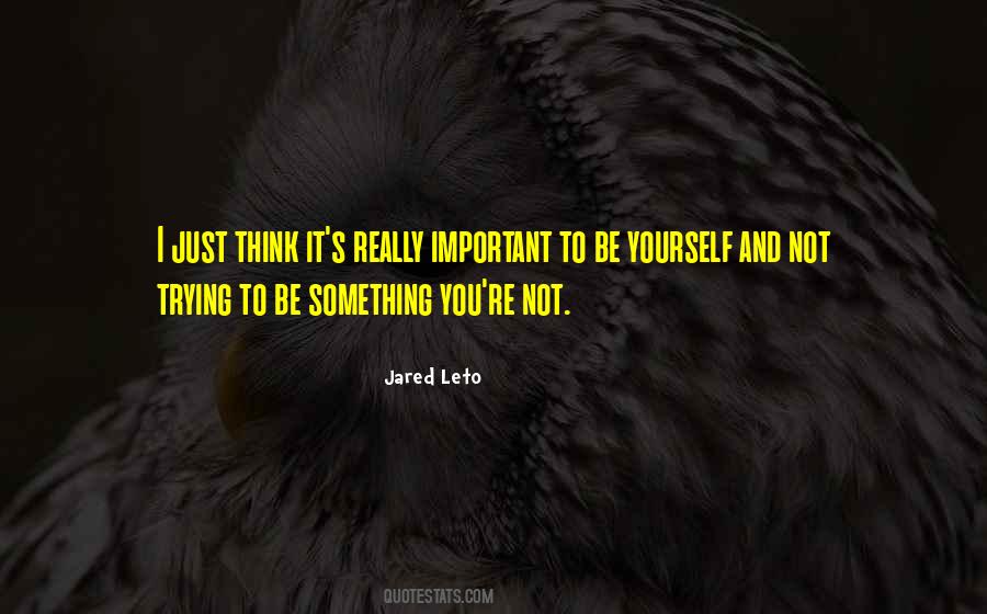 Quotes About Not Being Important #629107