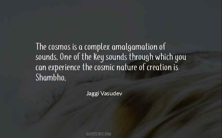 Quotes About Love And The Cosmos #1449614