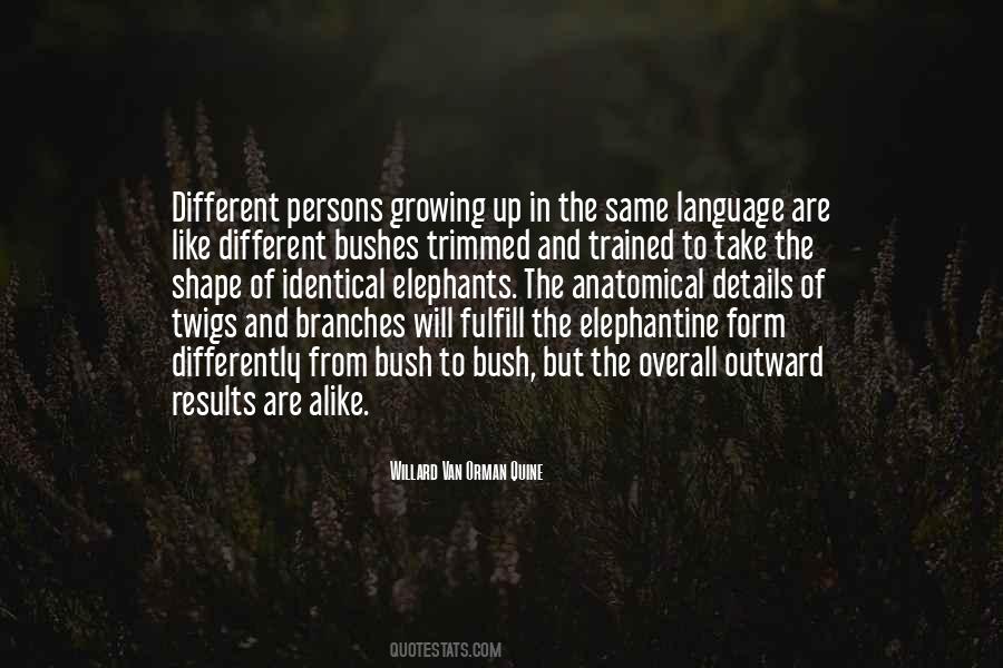 Quotes About Twigs #1379438