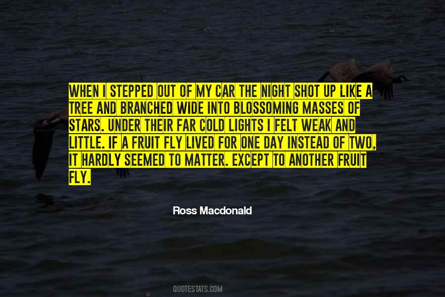 Fruit Tree Quotes #105042