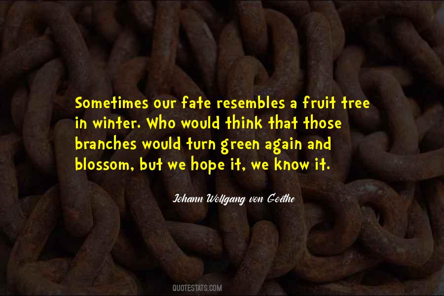 Fruit Tree Quotes #277392