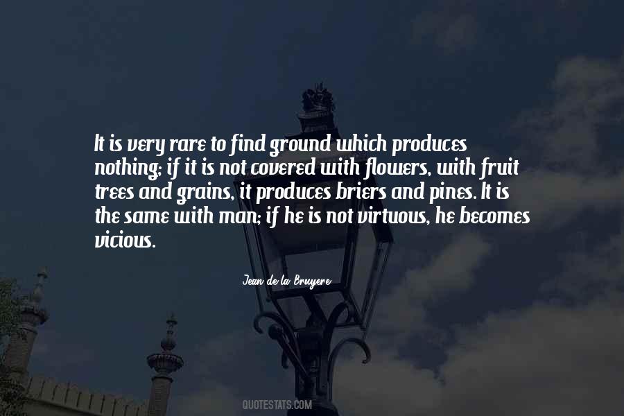 Fruit Tree Quotes #306083