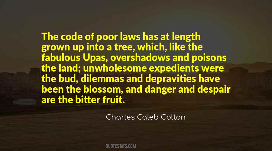 Fruit Tree Quotes #339446