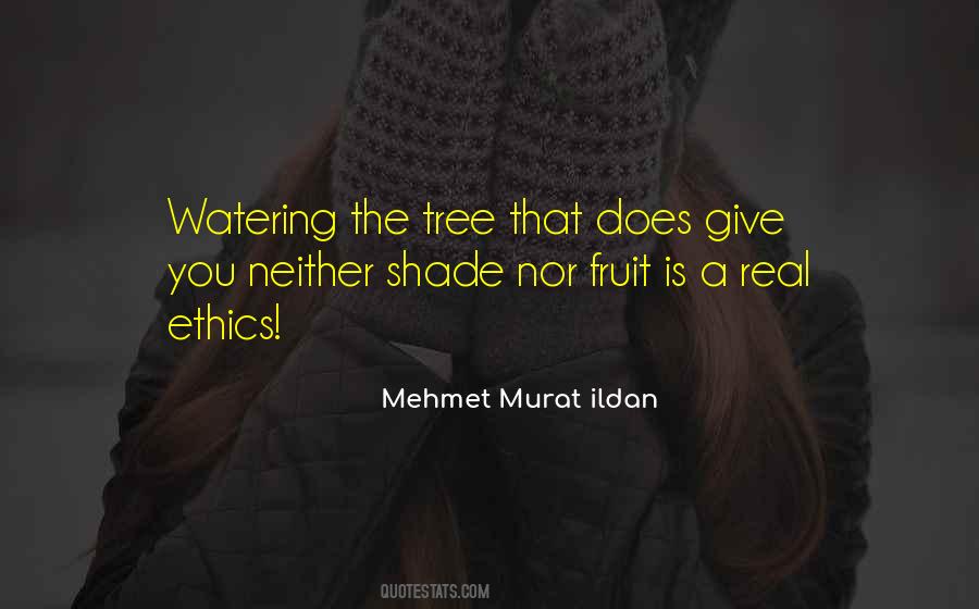 Fruit Tree Quotes #503368