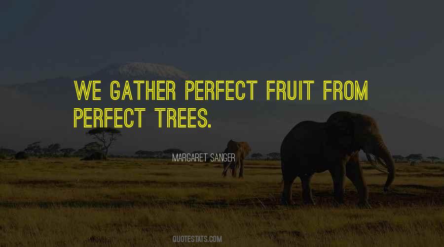 Fruit Tree Quotes #519450