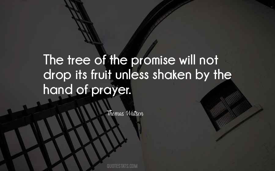 Fruit Tree Quotes #70529