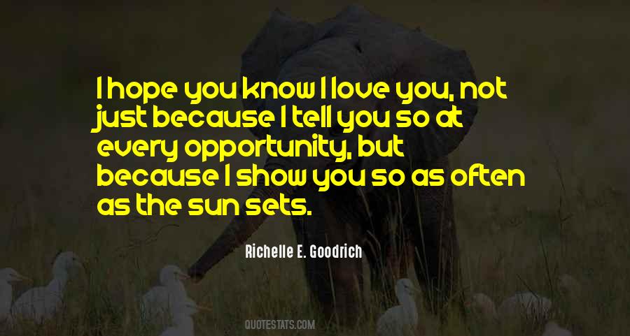 As The Sun Sets Quotes #1009559