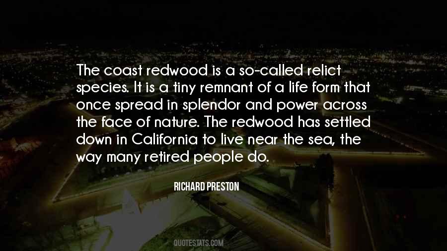 Quotes About Redwood Trees #874437