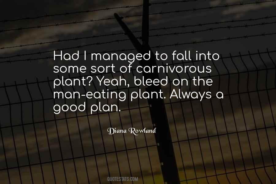 A Good Plan Quotes #69678