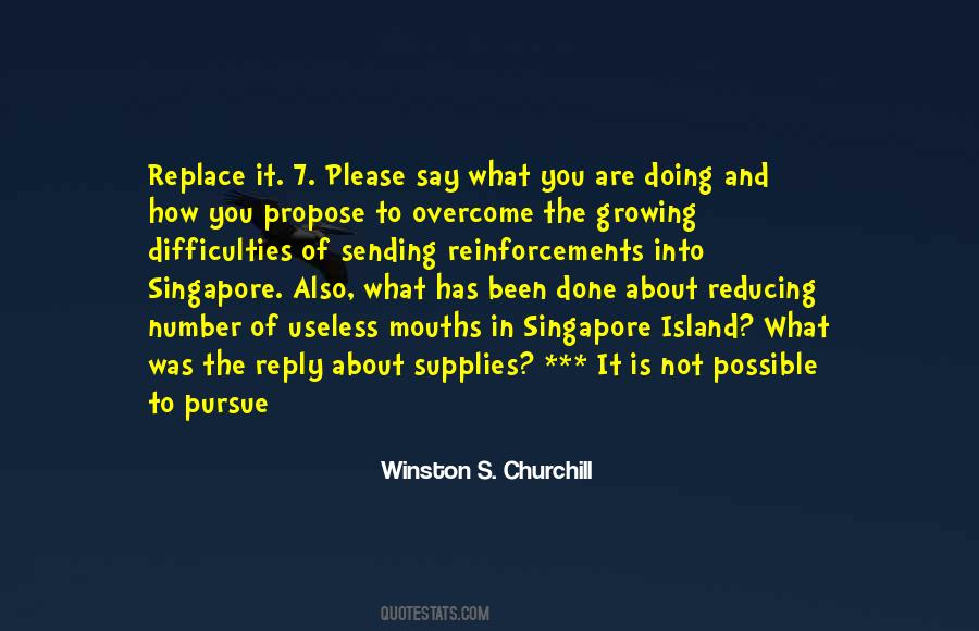 Quotes About Reducing #1023795