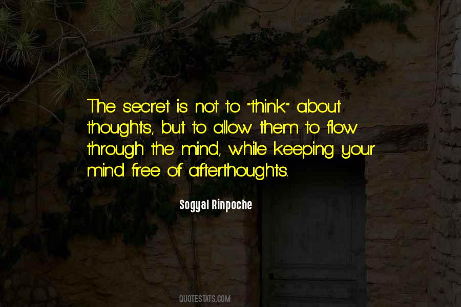 Secret Thoughts Quotes #798981