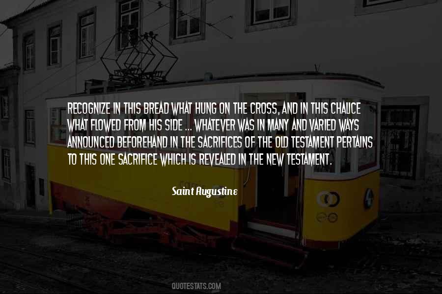 Quotes About The Holy Cross #509971