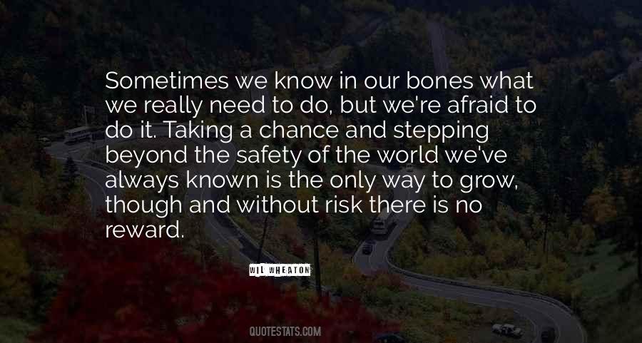 Quotes About Chance And Risk #1192396