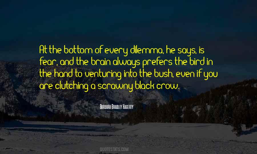 Quotes About Chance And Risk #600825