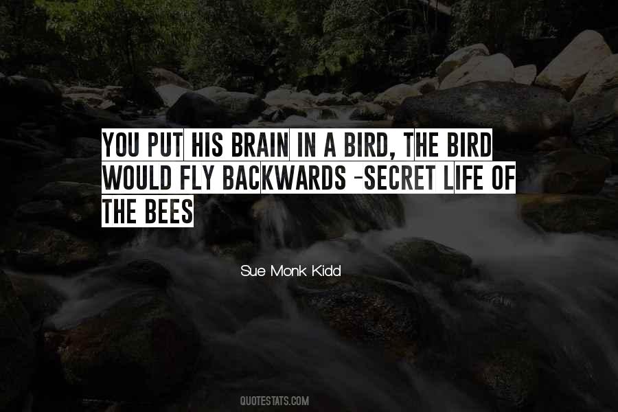 Quotes About The Secret Life Of Bees #395362