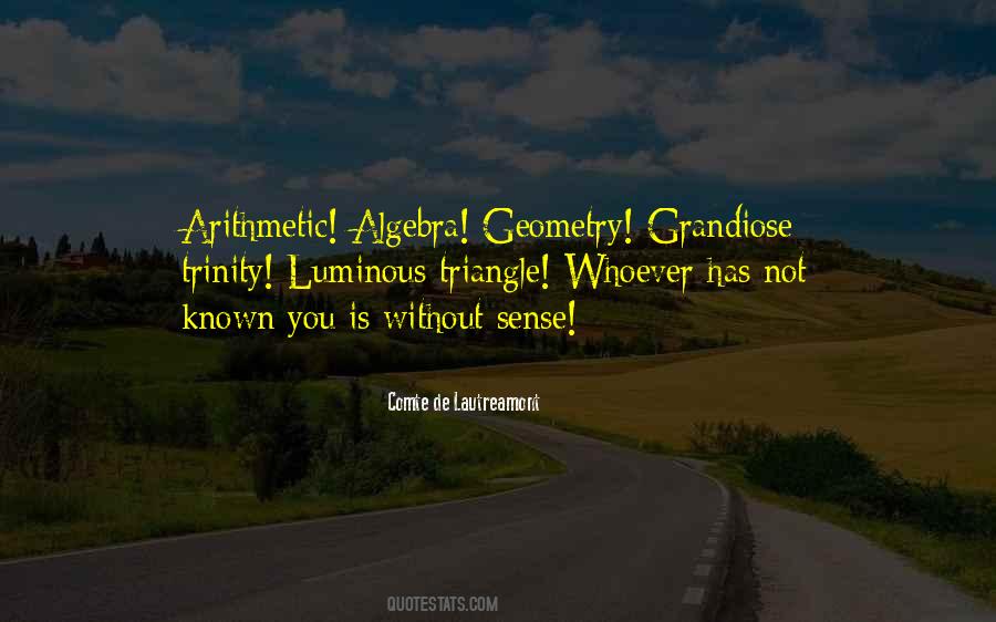 Quotes About Geometry #1290544