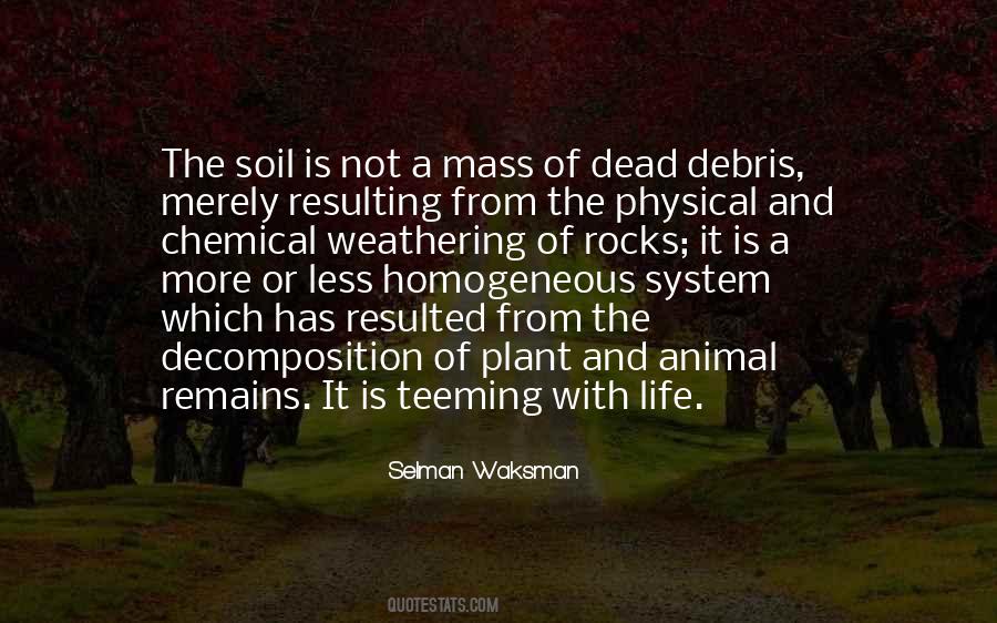 Quotes About Decomposition #545144