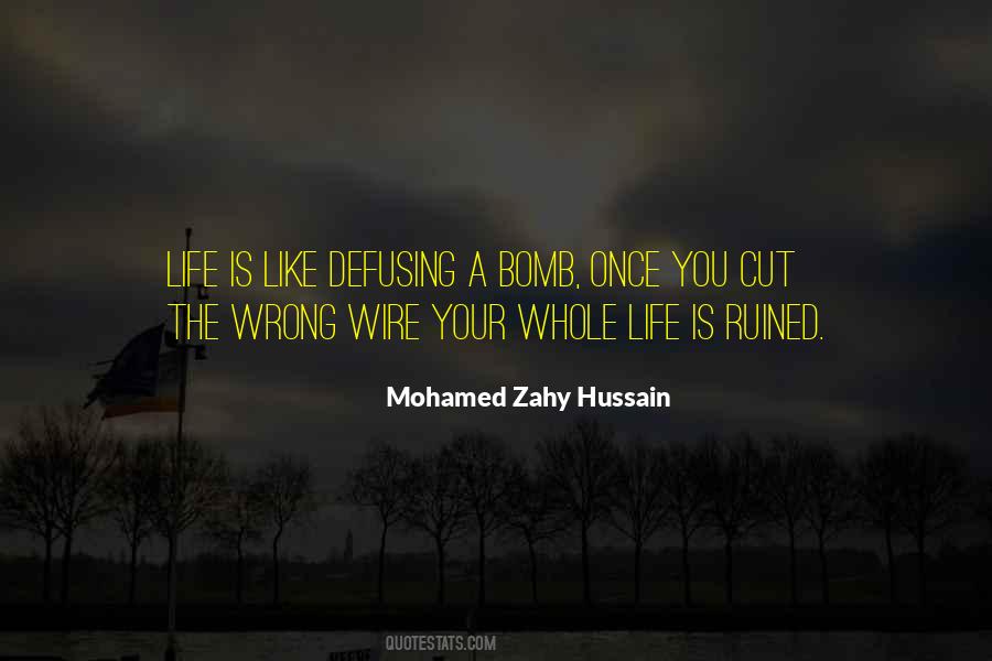 Moral Examples Quotes #1387828