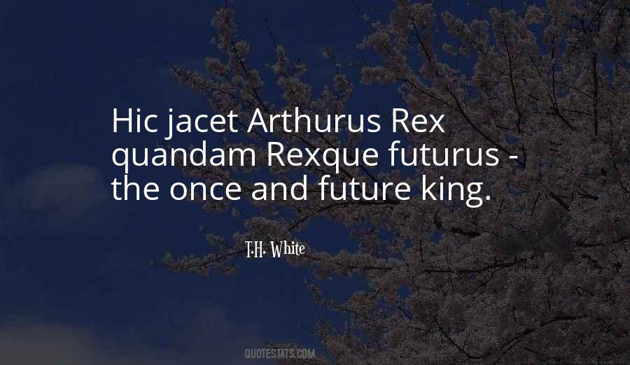 Once And Future King Quotes #1340193