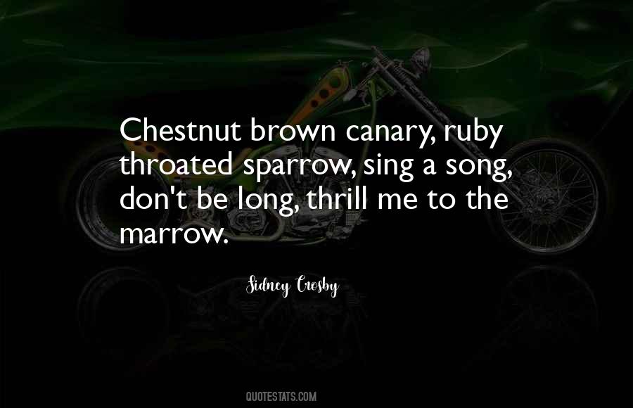 Quotes About Canary #568510