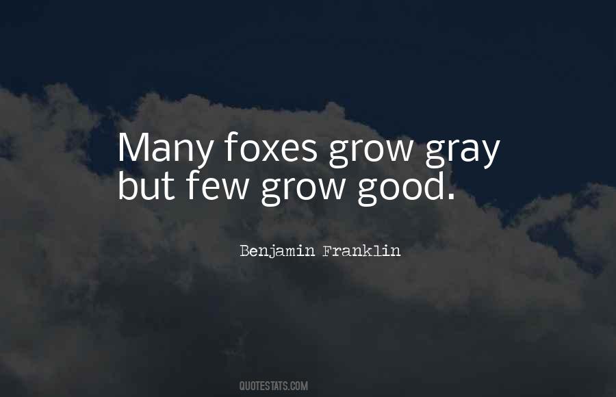 Quotes About Foxes #601849