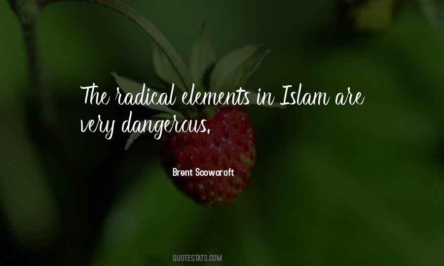 Quotes About Radical Islam #446491